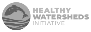 Healthy Watersheds Initiative