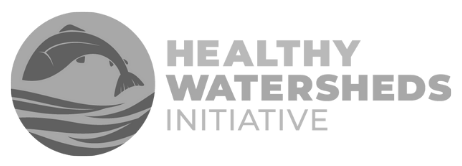 Healthy Watersheds Initiative