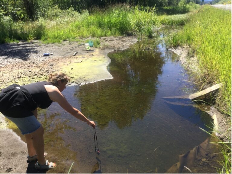 Water Temperature Monitoring in the Upper Bulkley River Watershed Reveals Stream Temperatures Warmer Than BC Guidelines for Migrating Salmon