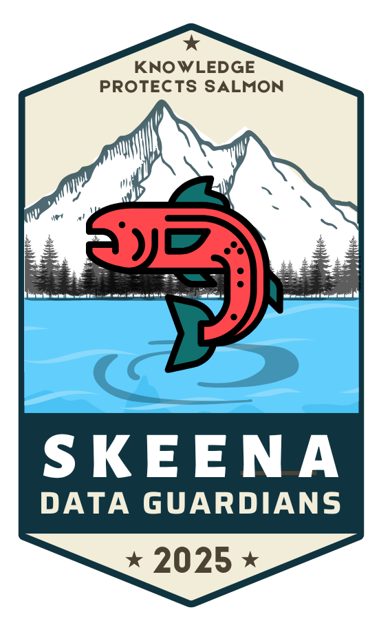 Skeena Data Guardians logo