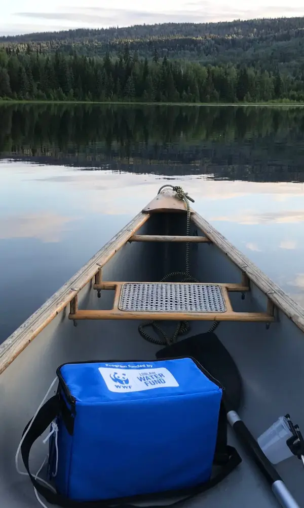 Untitled design (14)