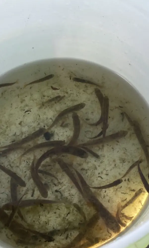 Untitled design (15)